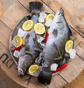 Bibanul de mare australian – peștele oceanic de origine exotică tot mai apreciat în România